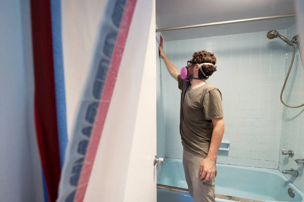 Best Environmental Consulting for Mold Prevention  in Balm, FL