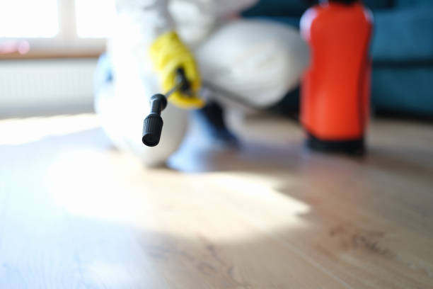 Best Forensic Mold Investigation  in Balm, FL